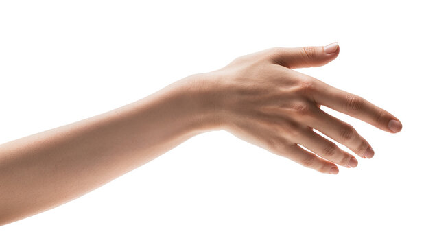 Pale human arm extending hand palm upward gesture