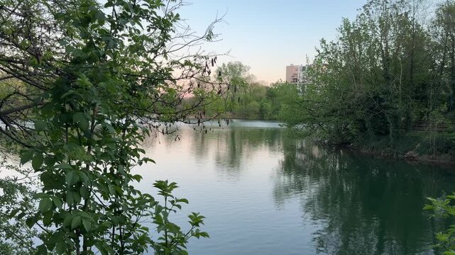 Tranquil Lakeside Vista at Dusk: A serene lake reflects the soft hues of the twilight sky, bordered by lush green trees and foliage, with distant buildings hinting at urban proximity.