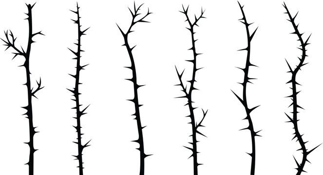 Black Thorny Branch Silhouette Set Vector Spiky Thorn Stem Stick Plant Nature Gothic Dark Design Element Clipart Illustration Collection Bundle