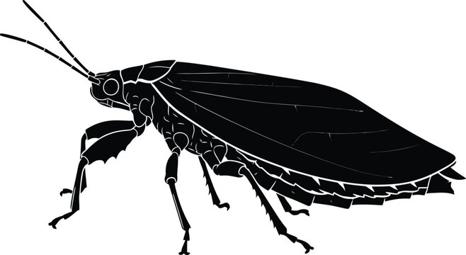Grasshopper silhouette side view jumping insect black vector isolated