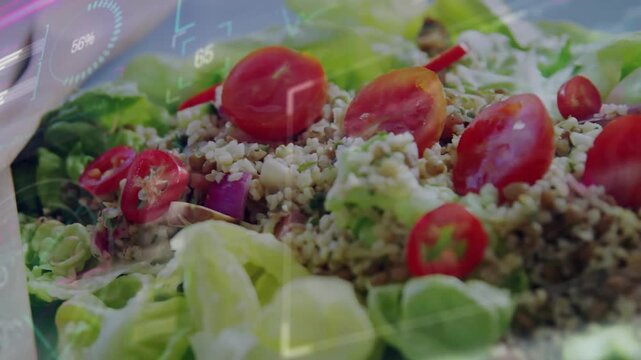 Camera moving closer to plated salad on tray, HUD fading, tomatoes, grains sharpening for food ads