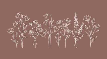 Fototapeta premium Delicate white botanical line art illustration of assorted wildflowers in a row on a warm brown background, decorative floral border
