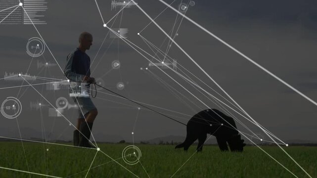 Man walking holding leash guiding dog sniffing grass while tech HUD overlay crossing around him