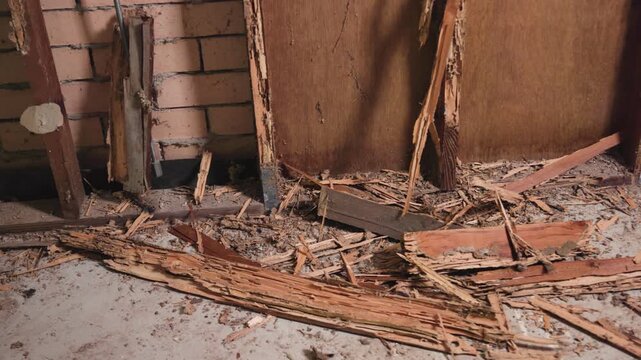 Devastation of a home after an attack from termites white ants