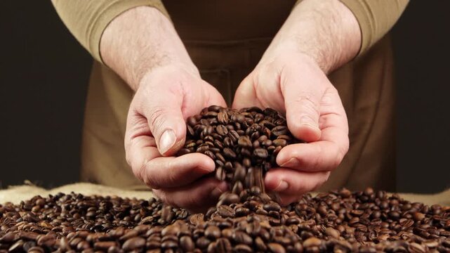 Concept of Coffee production industry. Close-up barista hands hold fresh brown beans on the table