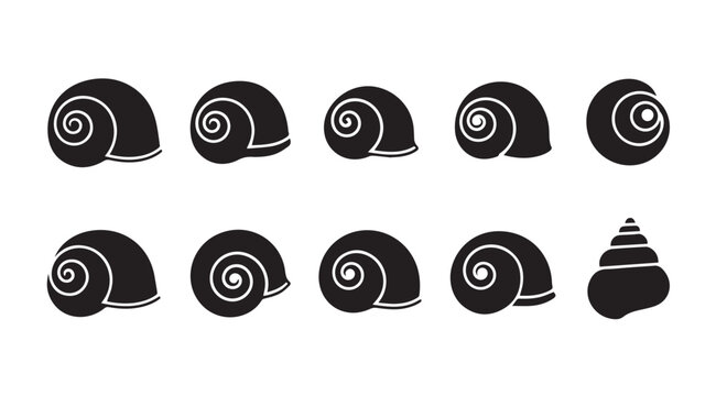 Collection of black snail shells in a row against a white background