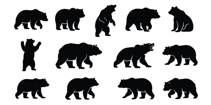 Grizzly bear silhouette collection, 14 wild animal vector elements. Black bear icons in walking and standing poses. Forest wildlife silhouettes for logo design.