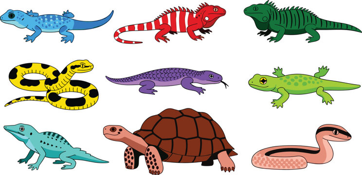 Set of Colorful Reptile and Amphibian Vector Illustrations Featuring Lizards, Snakes, Turtles, and Other Creatures with Unique Patterns and Designs