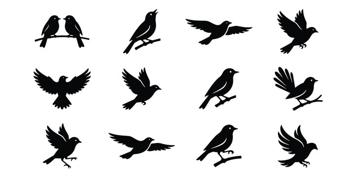Black bird silhouettes collection, 12 flying and perched songbird vector icons, minimalist avian nature elements for logo design and branding