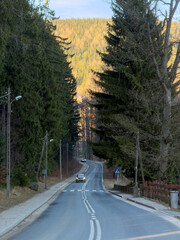 Naklejka premium Winding road with cars driving through a scenic mountain forest, flanked by tall evergreen trees, showing a tranquil journey with distant golden foliage