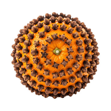Orange studded with cloves isolated on transparent background