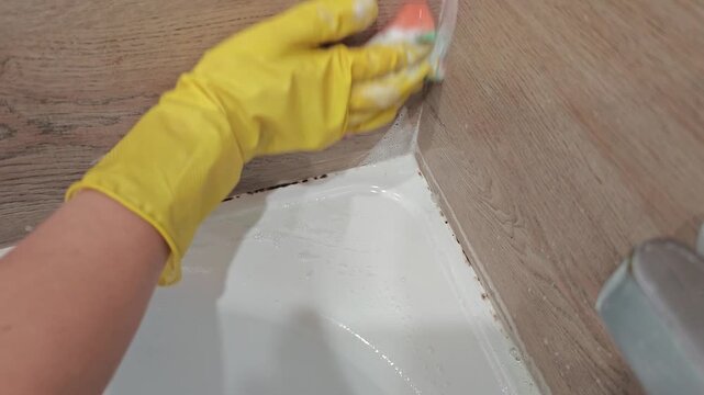 Removing mold and mildew from a bathroom in a quick and simple way