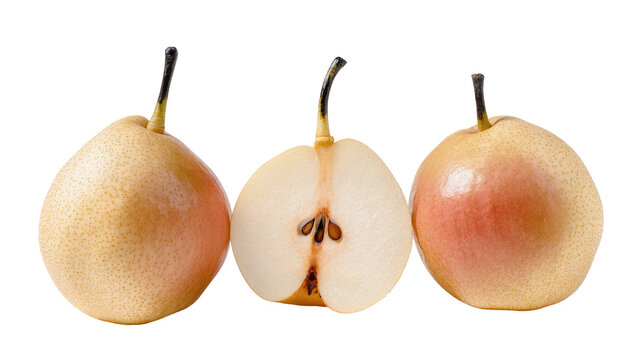 Whole and Cut Asian Pear Fruit Trio with Stems