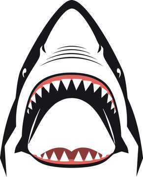 Shark open mouth illustration, aggressive predator concept