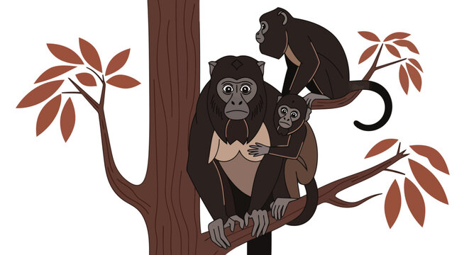 Mother spider monkey carrying baby in tropical forest tree illustration isolated on white background