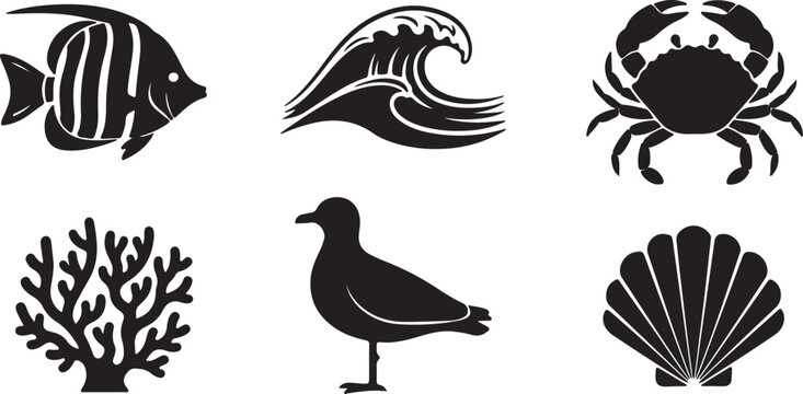 Sea shell sink stencil stamp set. Ocean exotic underwater seashell conch aquatic mollusk, sea spiral snail marine starfish seal brand collection. Tropical beach shells aquatic design illustration