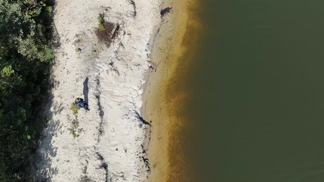 Person walking with dogs on sandy beach and stopping in calm natural setting