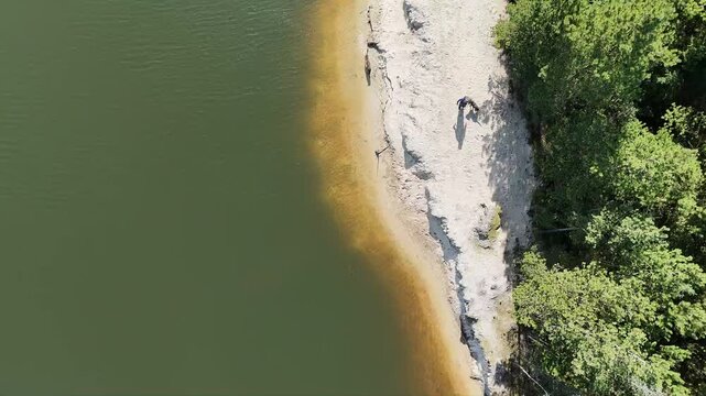 Cinematic aerial drone shot flying from water over beach to forest with person and dogs walking