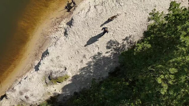 Aerial view of person walking with dogs across sandy beach in natural landscape
