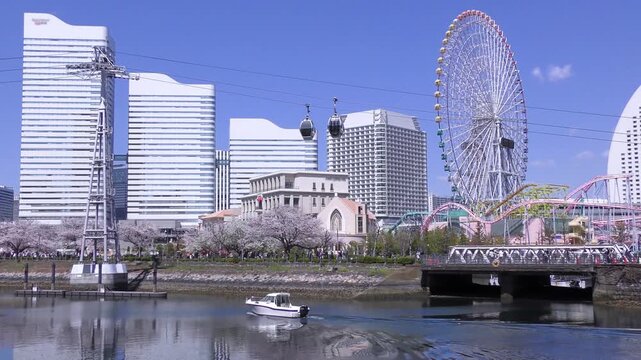 青空の下、満開の桜咲く神奈川県横浜市、みなとみらい地区のロープウェイと、桜を見に来た観光客と小型船舶のある風景
