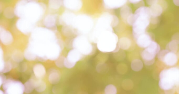 Warm golden bokeh sunlight through leaves. Soft abstract nature autumn background creating a calm, relaxing atmosphere for summer backgrounds