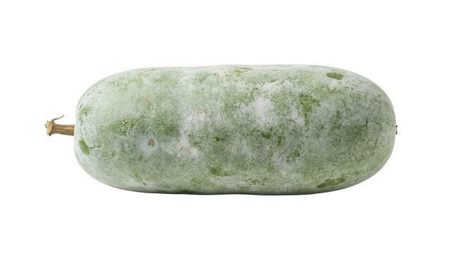 Fresh ripe winter melon isolated on a white background as healthy raw vegetarian food ingredients for a diet