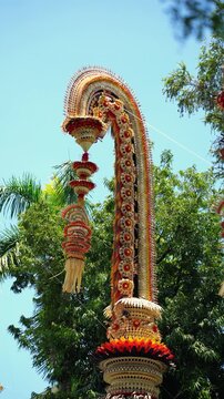 Penjor Balinese Traditional Bamboo Decoration for Galungan Festival in Bali