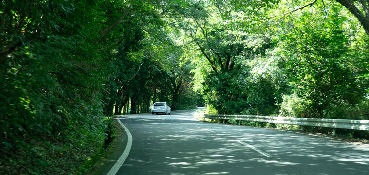車　ドライブ　新緑　山道　カーブ