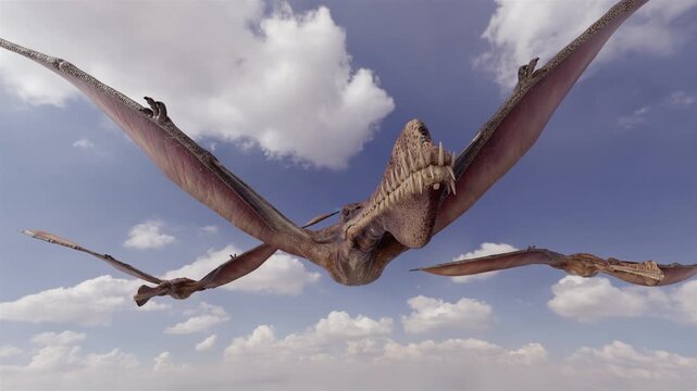 4K, 12-second 3d animation capturing a flock of Thapunngaka shawi pterosaurs soaring gracefully through a dynamic prehistoric sky over an ancient landscape.