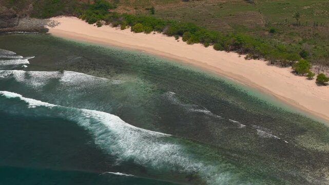 Aerial video of empty tropical beach with reef break white surf clear shallow water and sandy shoreline lined with coastal trees scene a quiet remote atmosphere waves break in parallel lines