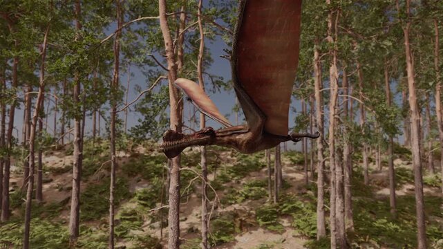 A 4K, 10-second 3d animation of a Thapunngaka shawi pterosaur gliding low over a prehistoric pine forest. Detailed ancient landscape with realistic flying reptile movements