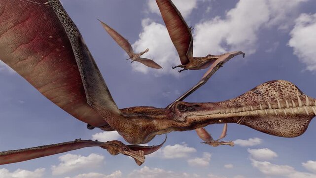 4K, 12-second 3d animation capturing a flock of Thapunngaka shawi pterosaurs soaring gracefully through a dynamic prehistoric sky over an ancient landscape.