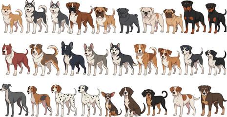 Large Dog Breeds Collection Set Featuring Husky Bulldog Pug Rottweiler Dalmatian and Mixed Breeds in Flat Cartoon Style Vector Illustration for Pet Design. © MstSuborna