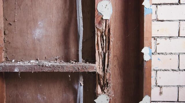 Damage from termites on a stud wall. Brick wall home.