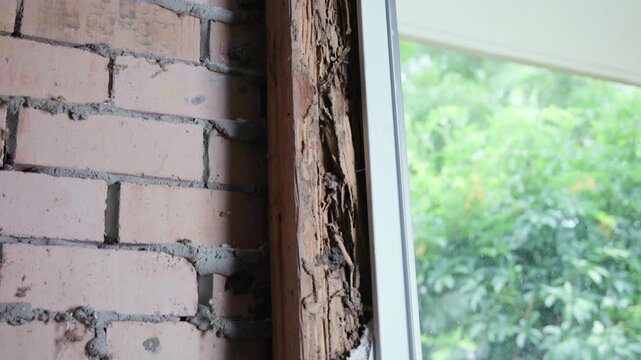 A rotten and damaged window stud affected by termites.