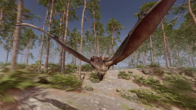 A 4K, 10-second 3d animation of a Thapunngaka shawi pterosaur gliding low over a prehistoric pine forest. Detailed ancient landscape with realistic flying reptile movements