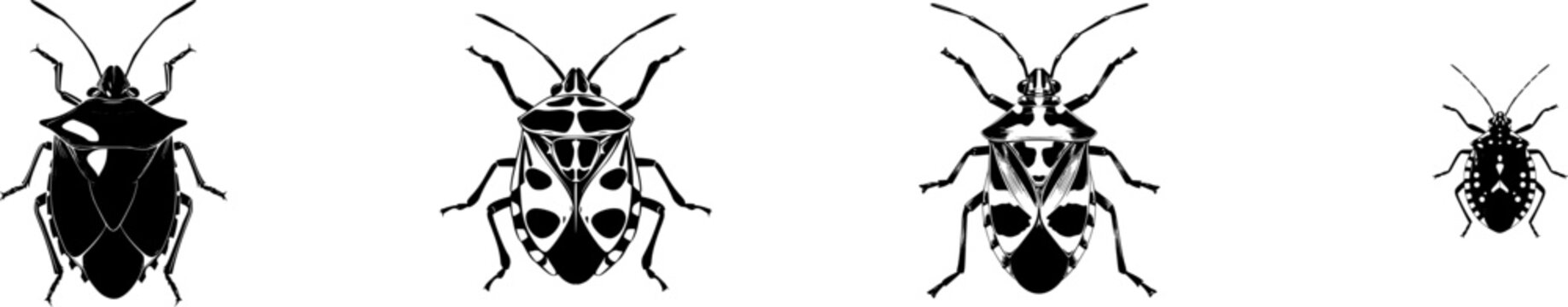 A symmetrical shield bug nymph with a rounded form, bold black shape, crisp contours, and a pristine white background, rendered in minimalist flat vector art for auto tracing