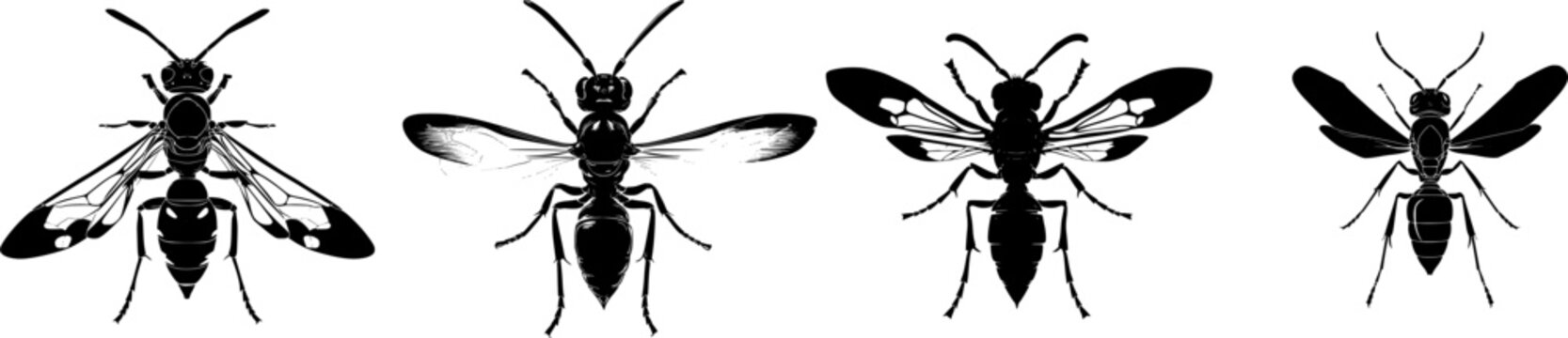A symmetrical potter wasp with a bold solid black shape stands against a pure white background in minimalist flat vector art, showcasing flawless sharp edges and high contrast monochrome design