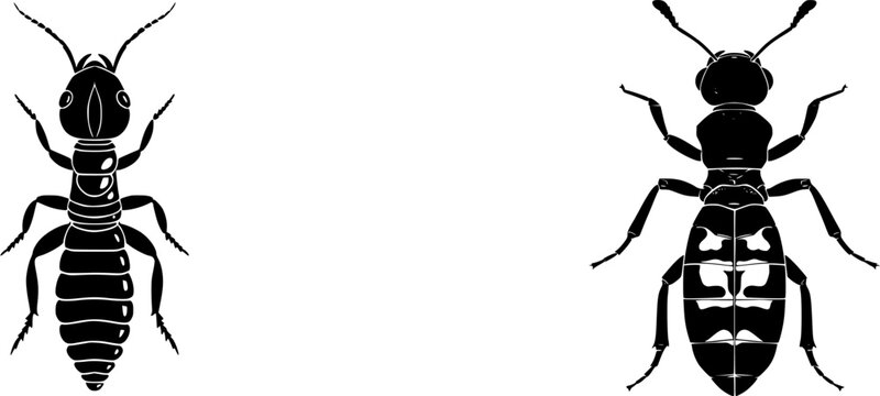 A symmetrical termite queen with a massive abdomen, bold solid black shape, perfect crisp contours, set against a pure white background in minimalist flat vector art, showcasing flawless sharp edges