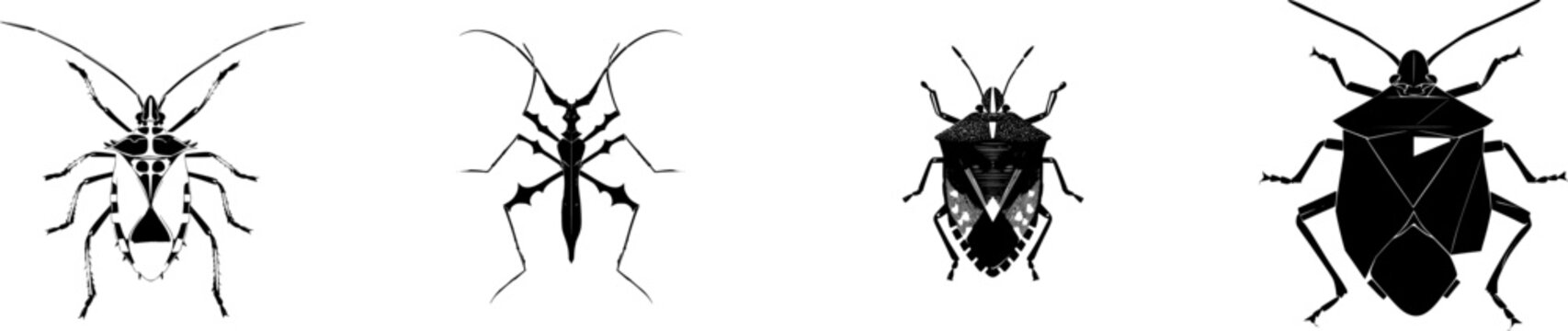 A symmetrical thorn bug with sharp pointed protrusions stands out against a pure white background in this minimalist flat vector art piece