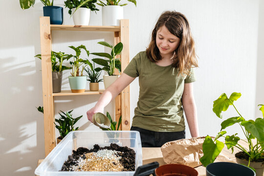 Girl mixing soil and caring for houseplants indoors at home