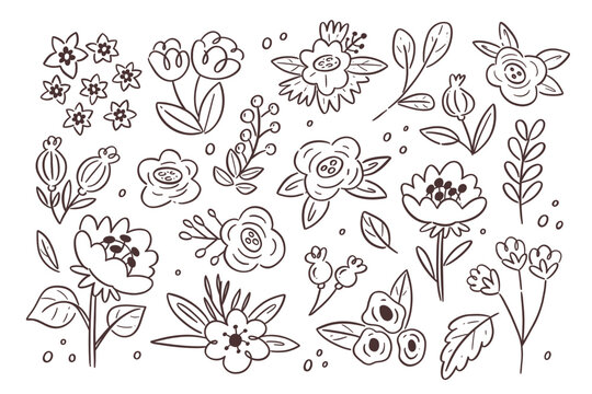 Floral doodle collection. Cute hand-drawn flowers, twigs and leafs isolated on a white background. Organic line art style. Perfect for decorating surfaces, prints and crafting projects.