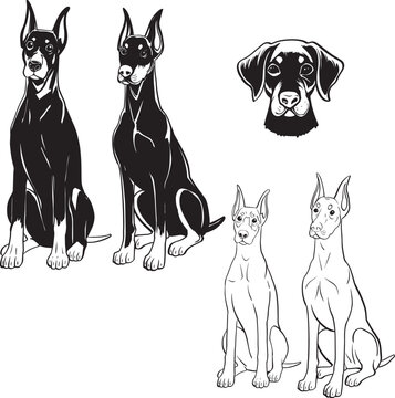 Set of hand drawn sitting Doberman dog illustrations in minimalist black and white line art style. Simple canine contours and bold silhouettes for pet product packaging veterinary clinic branding dog 