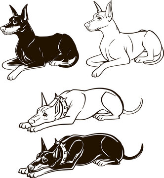 Set Lying Doberman Dog Line Art Pet products design element Silhouette Minimalist Animal Outline Black Contour Illustration cute big dog Clipart simple drawing hand drawn cartoon character