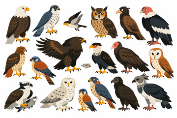 Fototapeta premium Richly illustrated field-guide style collection of eight renowned raptors — including a bald eagle, snowy owl, peregrine falcon, barn owl, osprey, red-tailed hawk, Andean condor, and crested caracara
