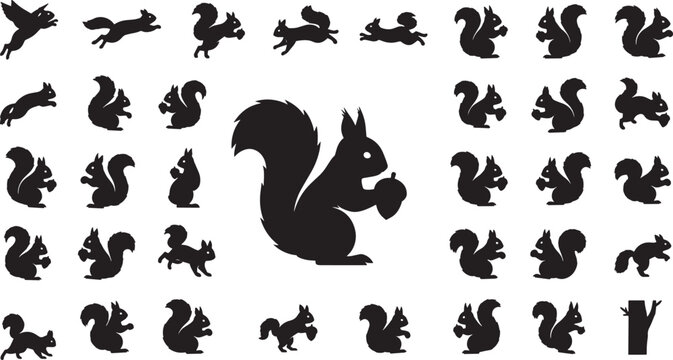 Collection of Black Squirrel Icons: Sitting, Running, Jumping, and Eating Acorns
