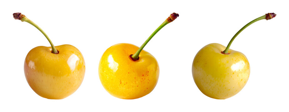 Fresh yellow Rainier cherry collection isolated on white background PNG set isolated on transparent background