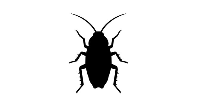 Flat Cockroach Insect Icon Top View Simple Pest Control Vector Illustration on White Background