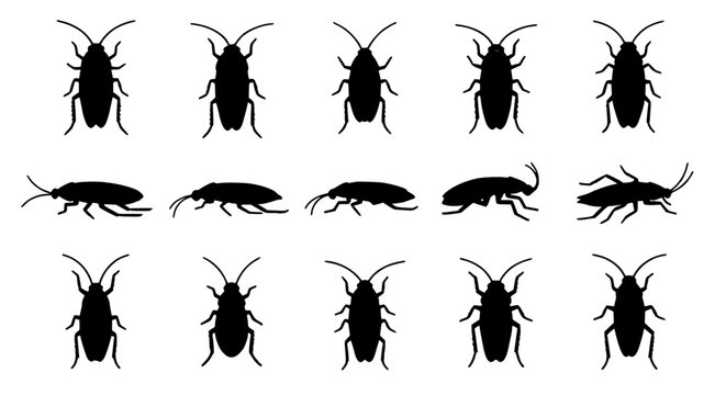 Flat Cockroach Insect Icon Set Multiple Views Pest Control Vector Illustration on White Background
