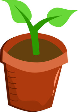 Potted Seedling Illustration